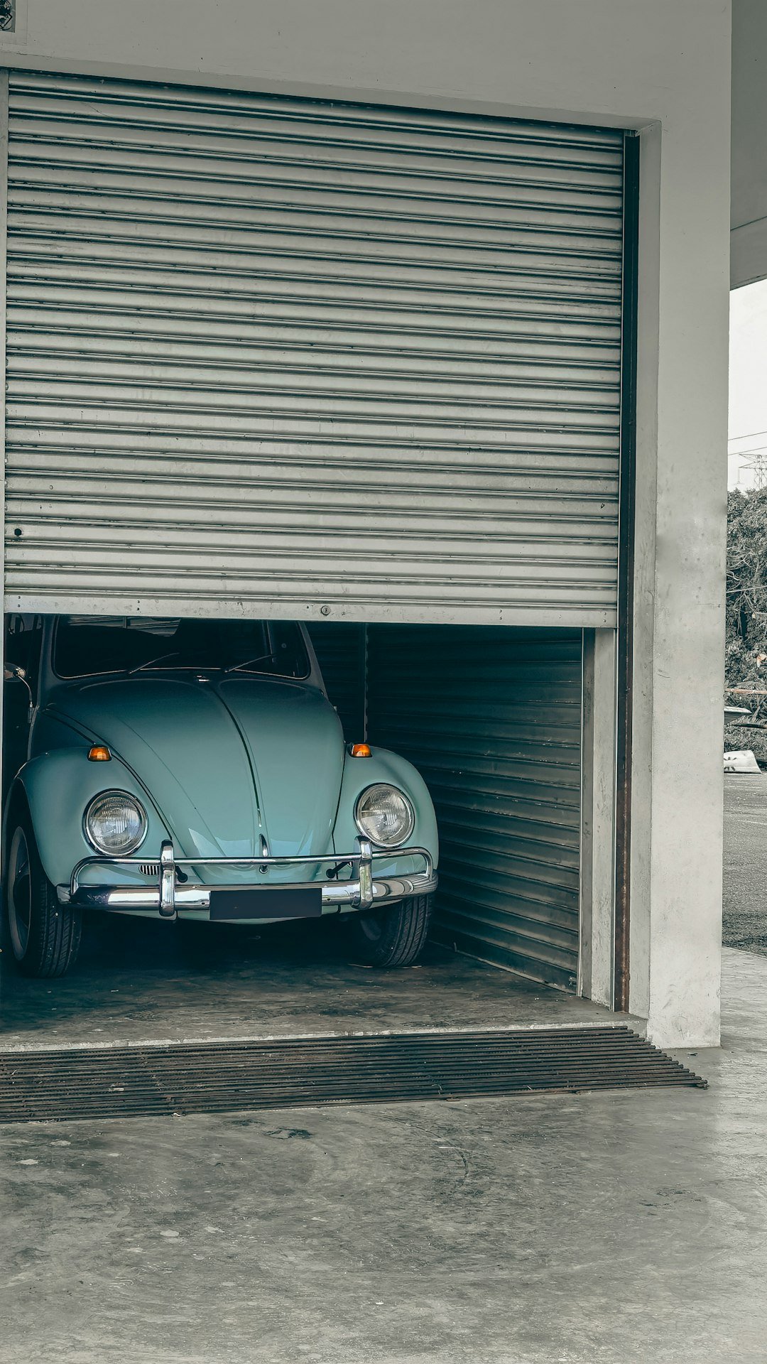 Services Peeping Bug